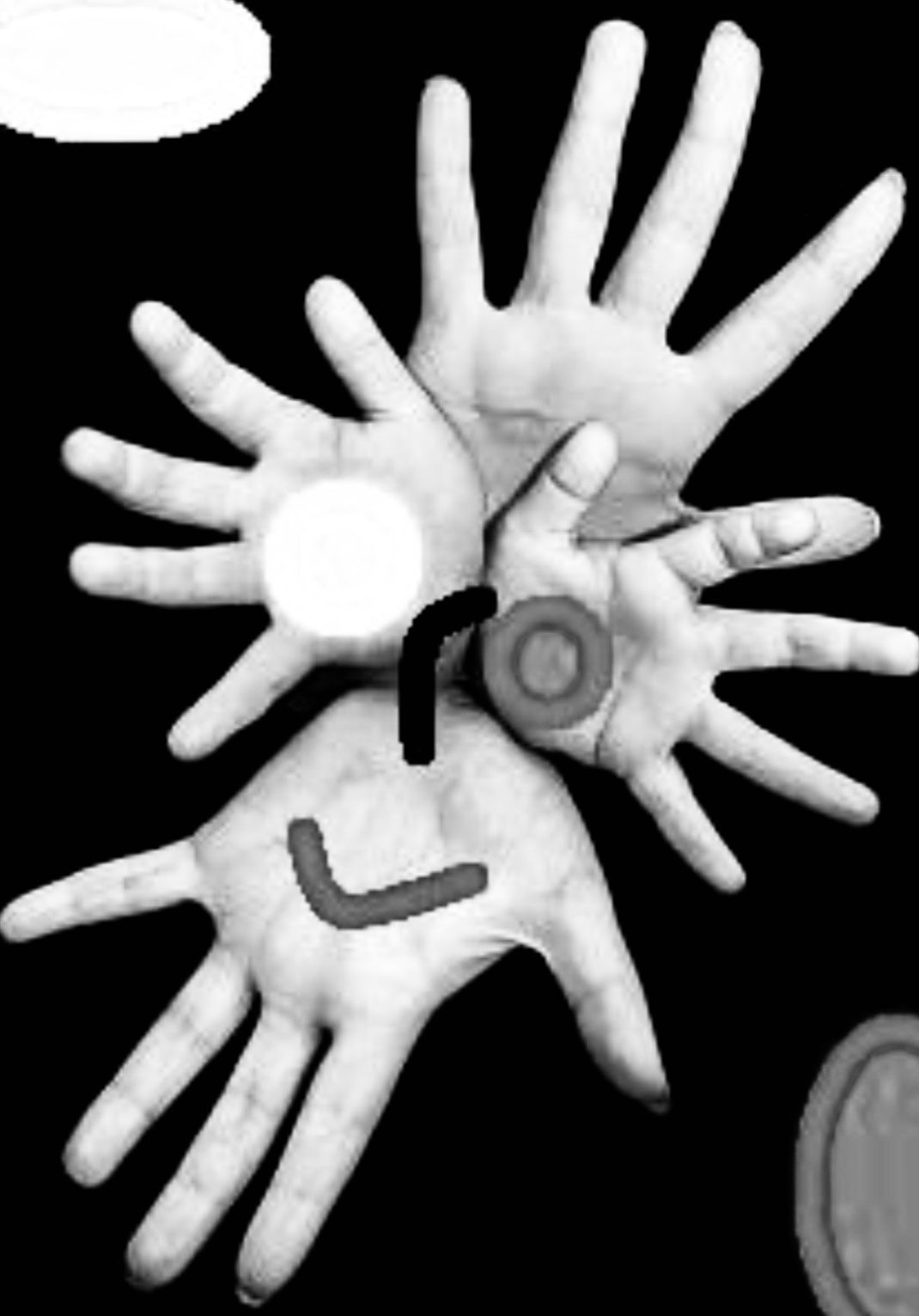 WhatsApp Image 2026-02-04 at 08.33